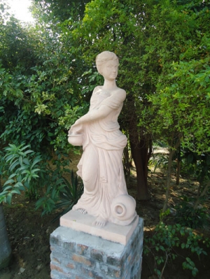 ST 009  